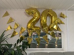 20 vuotta eik suotta!